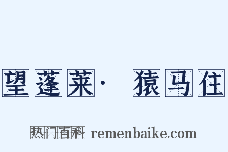 望蓬莱·猿马住是什么意思的图片